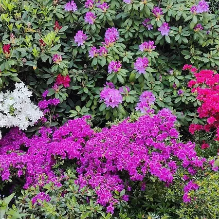 Słoneczne Apartament Sobótka