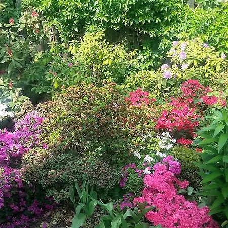 Słoneczne Apartament Sobótka