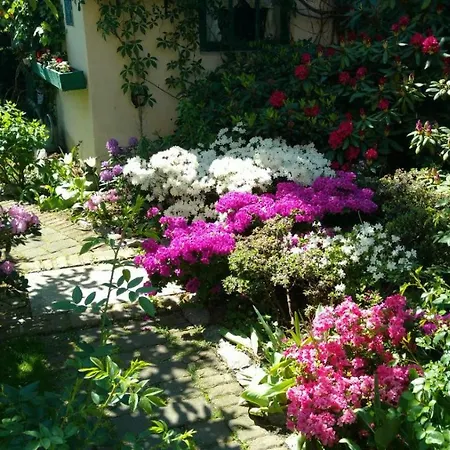 Słoneczne Apartament