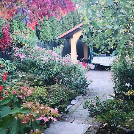 Słoneczne Apartament *