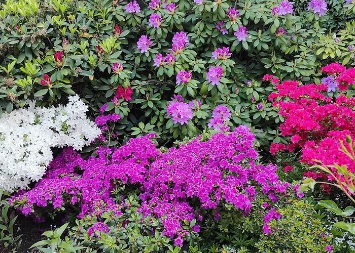 Sloneczne Διαμέρισμα Sobótka