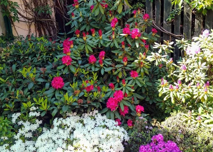 Sloneczne * Sobotka (Lower Silesia)