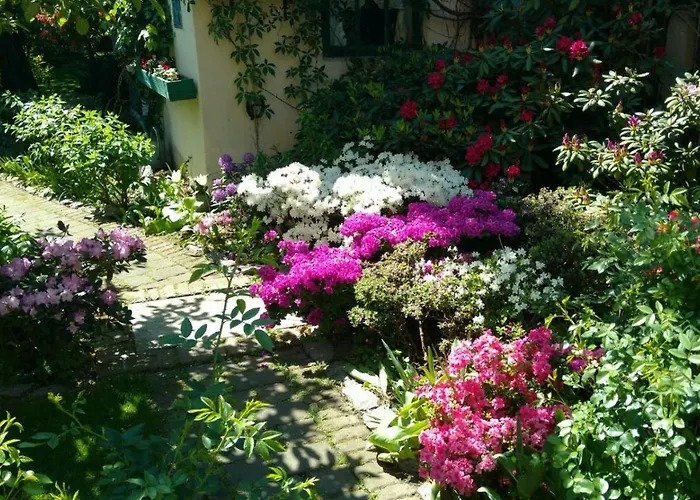 Sloneczne Διαμέρισμα